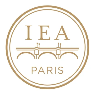 Institut d'études avancées de Paris